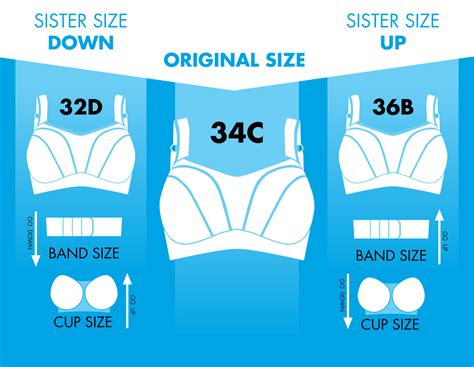 32d sister size|sister sizes in bras.